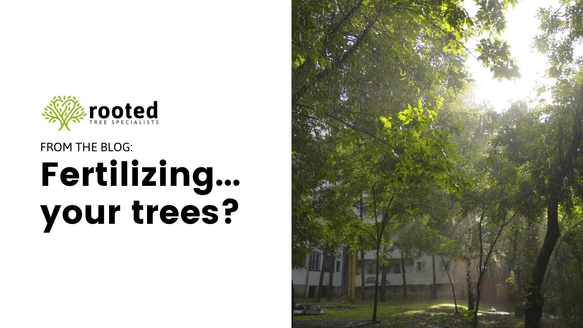 Fertilizing…your trees?