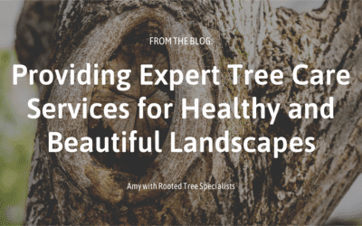 Providing Expert Tree Care Services for Healthy and Beautiful Landscapes