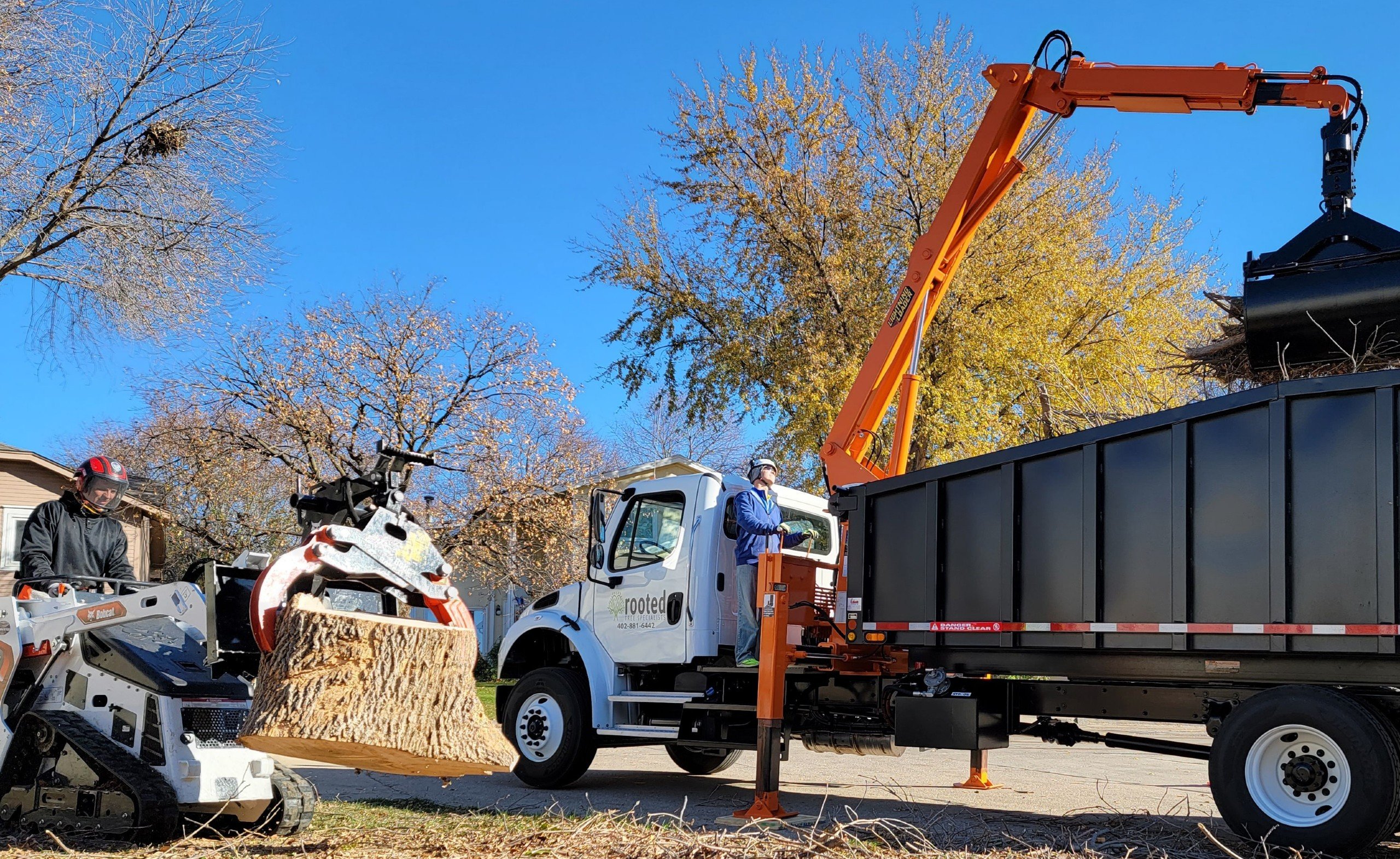 rooted tree specialists of omaha performing a tree removal service
