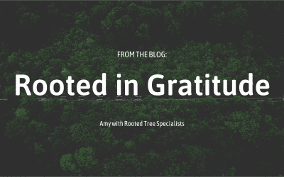 Rooted in Gratitude