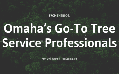 Rooted Tree Specialists: Omaha’s Go-To Tree Service Professionals