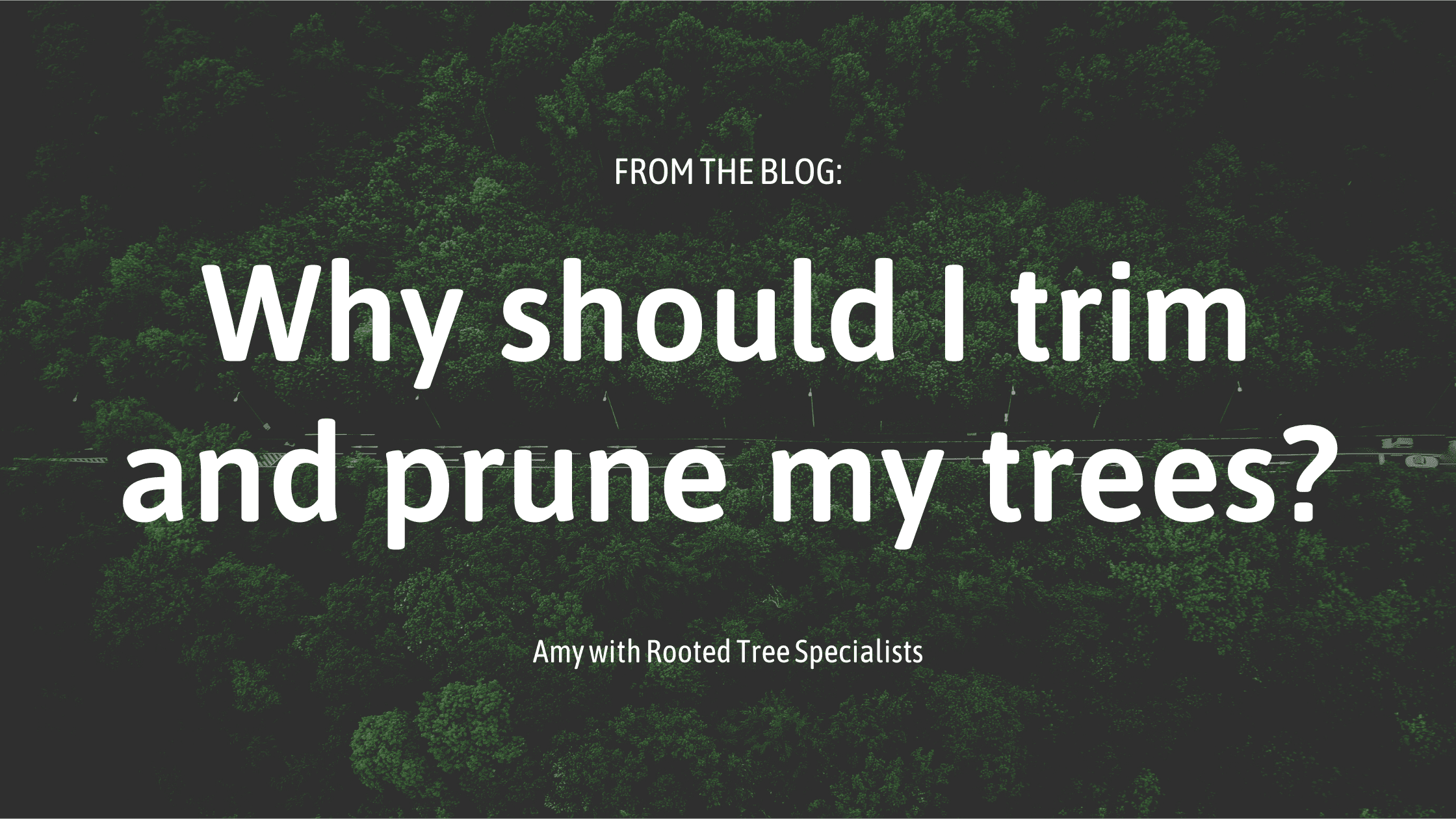 Why Omaha tree trimming and pruning?